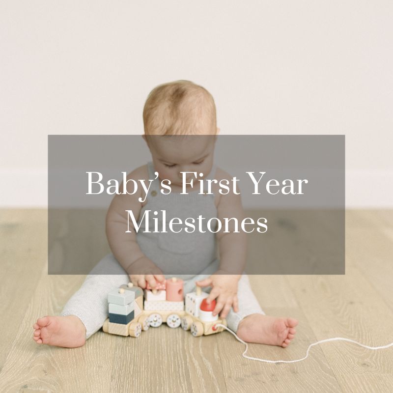 Baby's First Year Milestones Photography Agreement