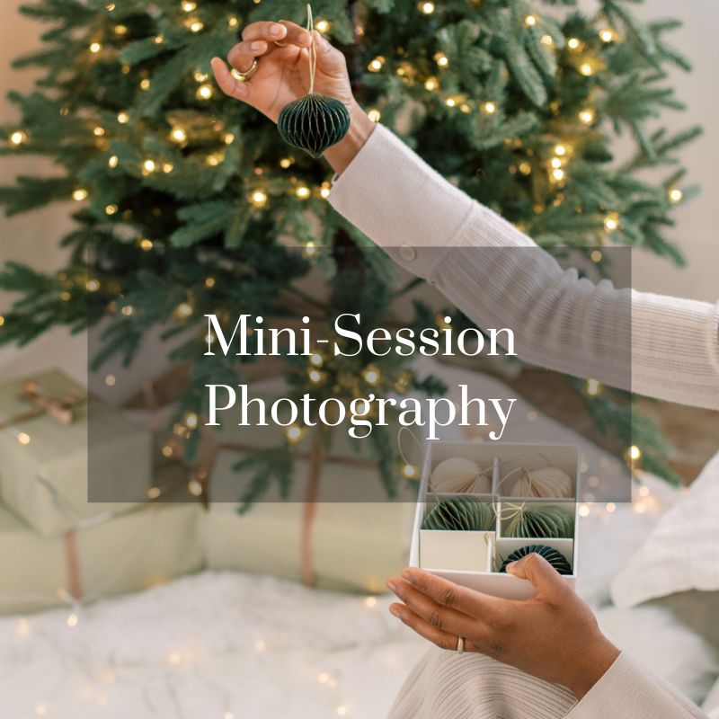 Mini-Session Photography Agreement