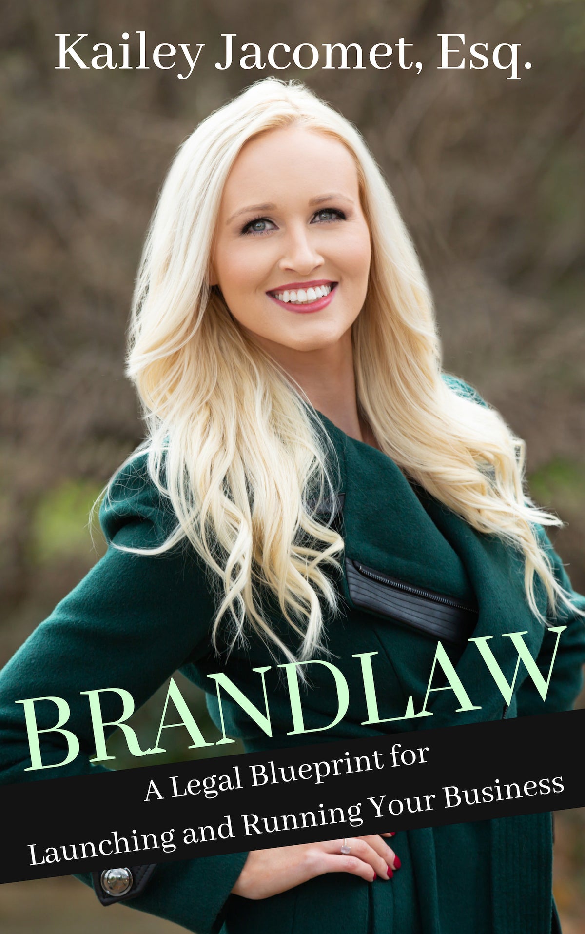 Brandlaw: A Legal Blueprint for Launching and Running Your Business [EBook]